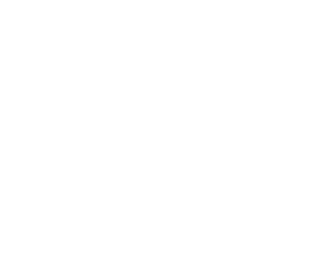 Digital Rock Labs